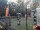 Webcam in Central Lake, Michigan, 166.2 km