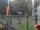 Webcam in Central Lake, Michigan, 46.4 km entfernt