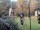 Webcam in Central Lake, Michigan, 433.9 km
