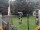 Webcam in Central Lake, Michigan, 178.5 km