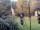 Webcam in Central Lake, Michigan, 433.9 km