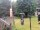 Webcam in Central Lake, Michigan, 226.8 km