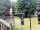 Webcam in Central Lake, Michigan, 225.6 km
