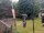 Webcam in Central Lake, Michigan, 37.8 km