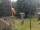 Webcam in Central Lake, Michigan, 337.1 km
