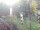 Webcam in Central Lake, Michigan, 84 km