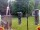 Webcam in Central Lake, Michigan, 16.2 km