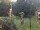 Webcam in Central Lake, Michigan, 89.4 mi away