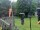 Webcam in Central Lake, Michigan, 16.2 km