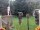 Webcam in Central Lake, Michigan, 179.2 km