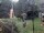 Webcam in Central Lake, Michigan, 88.4 mi away