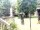 Webcam in Central Lake, Michigan, 228.8 km
