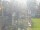 Webcam in Central Lake, Michigan, 54.5 mi away
