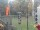 Webcam in Central Lake, Michigan, 16.2 km entfernt
