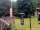 Webcam in Central Lake, Michigan, 36.2 mi away