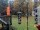 Webcam in Central Lake, Michigan, 229 km
