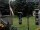 Webcam in Central Lake, Michigan, 252.9 km