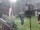 Webcam in Central Lake, Michigan, 179.2 km