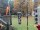 Webcam in Central Lake, Michigan, 141.3 km
