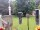 Webcam in Central Lake, Michigan, 229 km