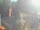 Webcam in Central Lake, Michigan, 229 km
