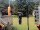 Webcam in Central Lake, Michigan, 149.8 km