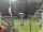 Webcam in Central Lake, Michigan, 37.8 km