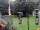 Webcam in Central Lake, Michigan, 166.2 km