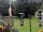 Webcam in Central Lake, Michigan, 231.6 km