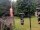 Webcam in Central Lake, Michigan, 29.8 mi away