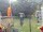 Webcam in Central Lake, Michigan, 223.6 km entfernt