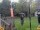 Webcam in Central Lake, Michigan, 29.8 mi away