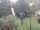 Webcam in Central Lake, Michigan, 108.7 km entfernt