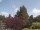 Webcam in Son en Breugel, 3.4 mi away