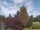 Webcam in Son en Breugel, 54 km entfernt