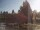 Webcam in Son en Breugel, 9.3 km entfernt