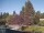 Webcam in Son en Breugel, 20.6 mi away