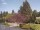 Webcam in Son en Breugel, 20.8 mi away