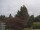 Webcam in Son en Breugel, 50.8 km