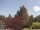 Webcam in Son en Breugel, 8.8 km