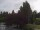 Webcam in Son en Breugel, 50.8 km