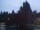 Webcam in Son en Breugel, 44.7 km