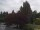 Webcam in Son en Breugel, 59 km