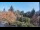 Webcam in Son en Breugel, 54 km