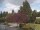 Webcam in Son en Breugel, 18.8 mi away