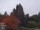 Webcam in Son en Breugel, 8.8 km