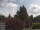Webcam in Son en Breugel, 42.6 km