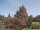 Webcam in Son en Breugel, 21 mi away