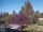 Webcam in Son en Breugel, 54 km