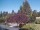 Webcam in Son en Breugel, 54 km